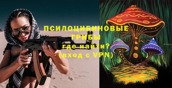 меф Нефтегорск