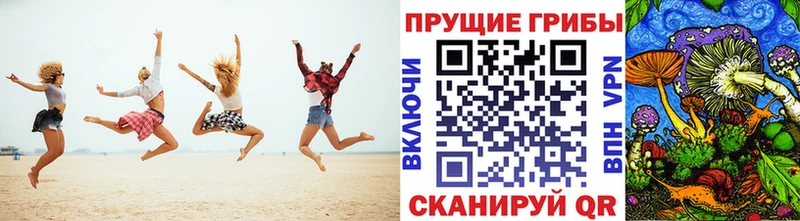 Псилоцибиновые грибы GOLDEN TEACHER  Кимры 