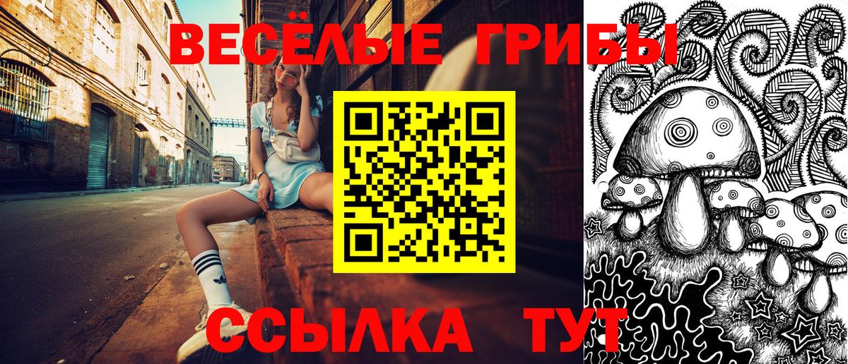 магазин    Кимры  Псилоцибиновые грибы Cubensis  Псилоцибиновые грибы Cubensis 