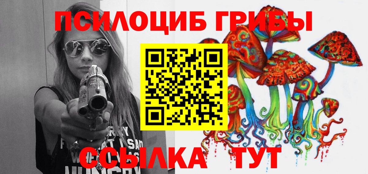 Галлюциногенные грибы GOLDEN TEACHER  Вход с VPN  магазин  наркотиков  Кимры 